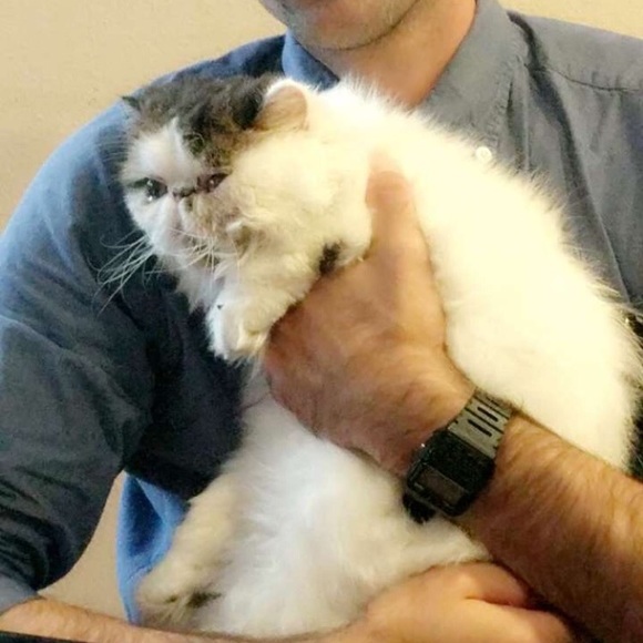 Meet your Posher, James - Picture 9 of 9